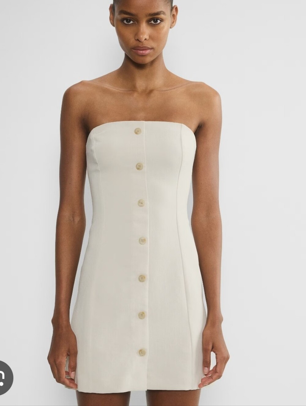 NWT Wilfred Rarity Dress